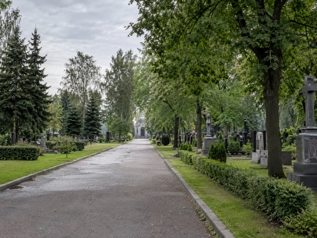 Как получить бесплатное место на кладбище в Санкт-Петербурге
